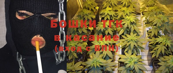 ешки Белокуриха