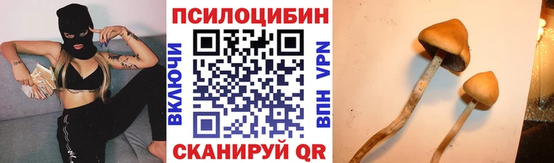 Псилоцибиновые грибы Magic Shrooms  hydra как зайти  Гатчина 